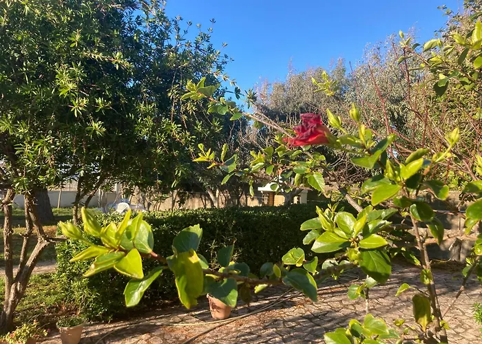 Frida's * 圣乔治斯