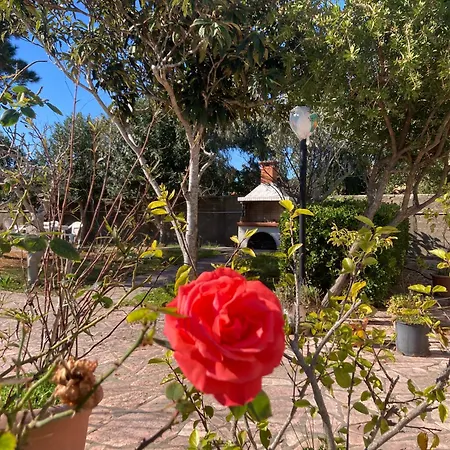 Frida's Apartmán Agios Georgios (Corfu)
