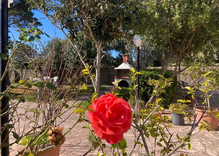 Frida's Lägenhet Agios Georgios (Corfu)